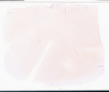 ['deident_27945b44-614e-49ab-9317-053237e4dac2_69d95e9e.jpg']