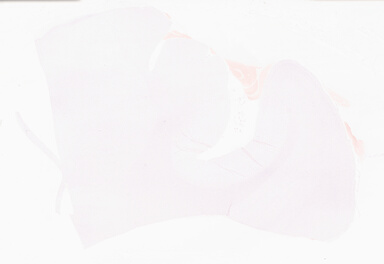 ['deident_6ebd8410-538b-42e7-b16a-7992c3a7e73a_69d95eb9.jpg']