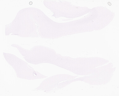 ['deident_6a6baf57-361a-460a-92c3-7a6b3babb11c_69b064e9.jpg']