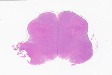 ['deident_31c7ab12-d6b9-4600-9fd5-ea855fb8bfb1_69b064db.jpg']