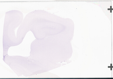 ['deident_7a8ae606-08aa-4821-985c-78d5cf2c9d13_695fc8ac.jpg']