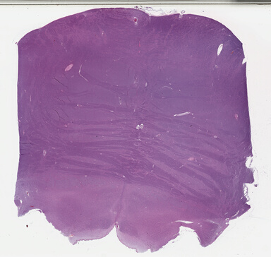 ['deident_fa47258a-ca25-463a-b3b9-f5e4e857a9e5_695fc8ea.jpg']