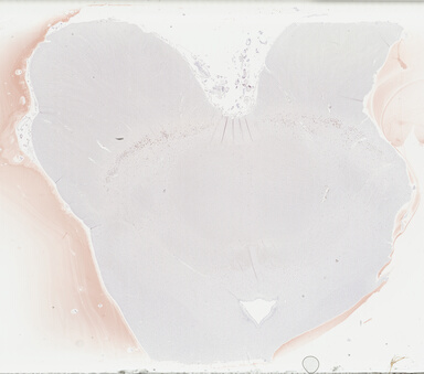 ['deident_bfe0b066-01f6-4f31-98d4-5a1748216cbb_69b04821.jpg']