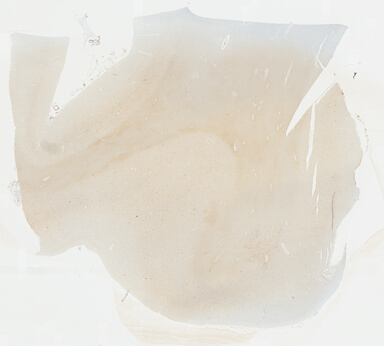 ['deident_c9764b7d-bf16-441a-849a-c1393e3b032c_69b0482f.jpg']