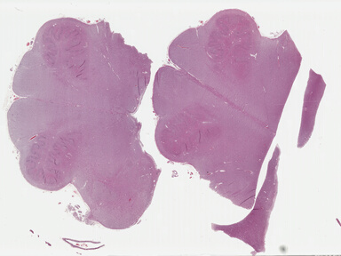 ['deident_cab6626c-aee3-46fb-9a33-eb88548e8c28_69b04834.jpg']