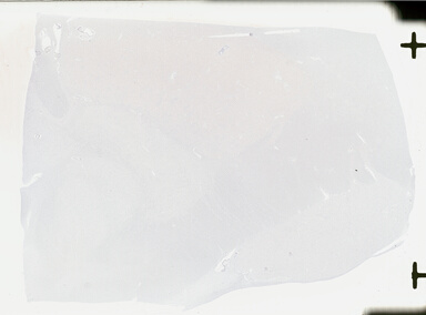 ['deident_c87d0b53-7a9e-48f2-8975-f8a745efd2c9_69b0482d.jpg']