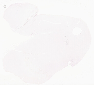 ['deident_a51fef2f-d6ca-4c59-93fa-e52d2b8cd2d6_69d967a6.jpg']