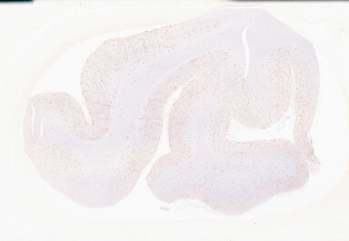 ['deident_aa0467ae-b236-4af3-90b6-98296ca2ba6b_69b05982.jpg']