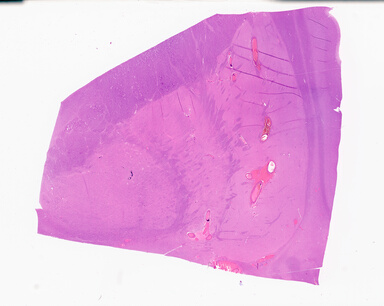 ['deident_a27a2b35-1979-45c0-b104-c22e07fe9e0b_69b0597c.jpg']