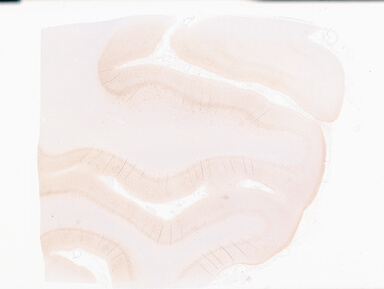 ['deident_c4fce33b-6330-4715-b888-3b8bf122e665_69b0598d.jpg']