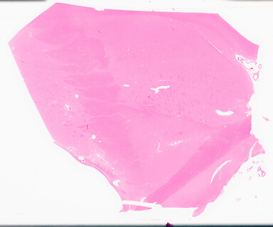 ['deident_948efabd-bad5-49f6-b727-9c5c2f4dd230_69d96b7e.jpg']