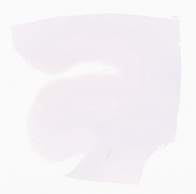 ['deident_25f34c5e-7f71-4f63-9f7b-daa37348fa19_69d96b30.jpg']