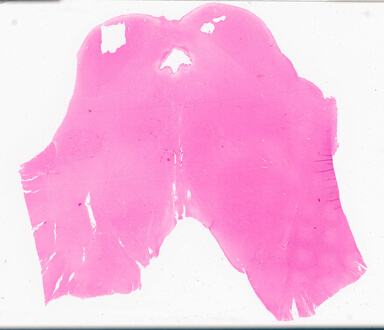 ['deident_5bbec725-4db8-449c-9b47-d6967600ffa5_69d96b5a.jpg']