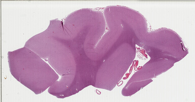 ['deident_bcb19d33-dcc1-49db-8b6c-6e278fef1070_69b02b2f.jpg']