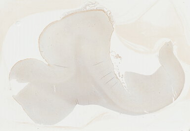 ['deident_f8d11c2c-c42c-4398-8e95-36f47c1efa99_69b02b57.jpg']