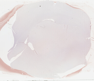 ['deident_6145bd42-aaf3-44a4-8c0a-7c10c2160378_69b02b0c.jpg']