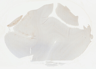 ['deident_ccf23312-5a16-4c09-bc9e-8d49cea249f9_69b02b36.jpg']