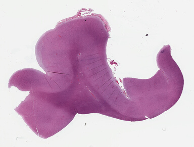 ['deident_e4741f43-e25a-4f80-880e-40e25a804ef0_69b02b44.jpg']