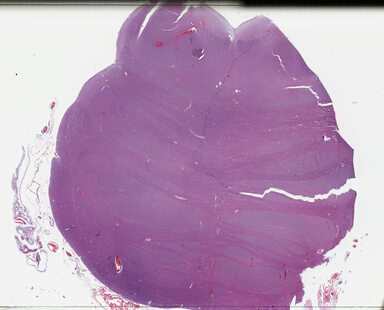 ['deident_c7a36ace-94f3-4843-b3fa-0352c59396e1_69b04ab4.jpg']