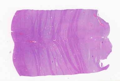 ['deident_0eaf4432-4ffa-454d-864b-4b127497149f_69b05b7e.jpg']