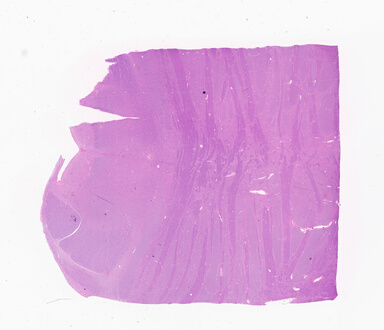 ['deident_a44c3bc8-626d-49a3-a47c-8381b49e6a1f_69b05078.jpg']