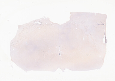['deident_d8bb43ce-7cc5-4e27-b53e-45139570e737_69b05099.jpg']