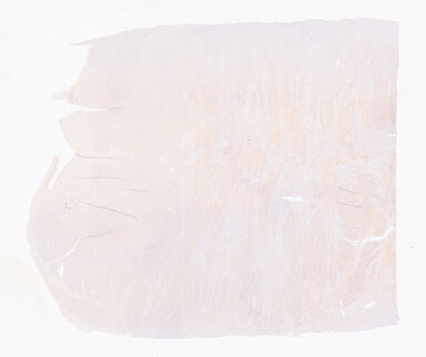 ['deident_824091fe-1314-4d1b-9695-fcb3359ed11e_69b05067.jpg']
