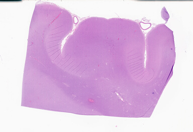 ['deident_c53dcccb-901e-40ea-8b4a-d6590db621bf_69b0508e.jpg']