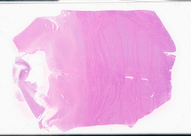 ['deident_050fcb0a-8f8e-43fa-9803-1d346d9e2f9d_69d94c5f.jpg']