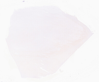 ['deident_02899272-f323-41c7-93e7-60d6c51c461c_69d964ce.jpg']