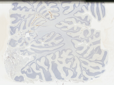 ['deident_1eaf9cf4-1c86-4ff5-9da2-d1b2f2232849_695fc1b6.jpg']