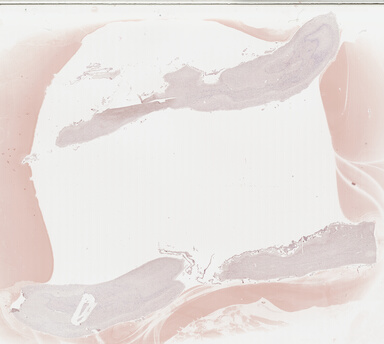 ['deident_cabb6043-7261-4342-84fd-113b81cc58e6_69b03cfb.jpg']