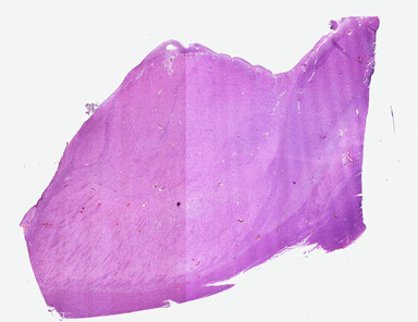 ['deident_a5134d33-f808-4c94-97e7-2283b0266b2c_695fc86b.jpg']