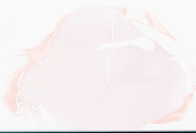 ['deident_079a840e-a6b4-4d2a-8a23-9b237750fb70_69d93f95.jpg']