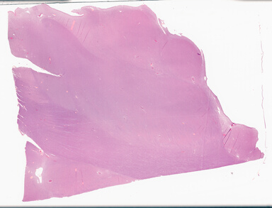 ['deident_150112e4-291a-4e85-9ad7-2b719deeefca_69d93f9a.jpg']