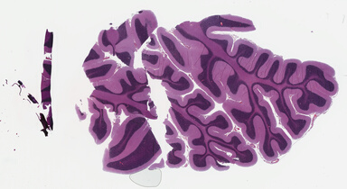 ['deident_42e78cc1-cf49-4c6a-8eac-9e24e948c595_69b02aa2.jpg']