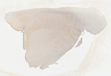 ['deident_e9cbe72c-ad1f-4e06-81eb-581d8d36eea7_69b042bf.jpg']