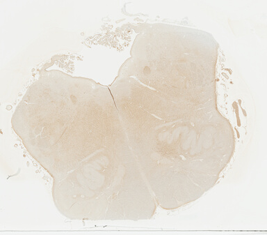 ['deident_842e4ab6-4287-49b0-b586-09b60c3514c8_69b04a3a.jpg']