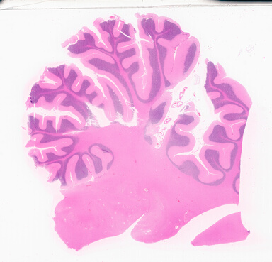 ['deident_ab424f04-fd9a-431a-a3f9-d5d5d0b728e8_69b02f06.jpg']