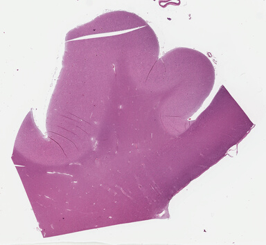 ['deident_8a75e0db-67f2-4966-b713-d4bb3ca78ba1_695fcc0f.jpg']