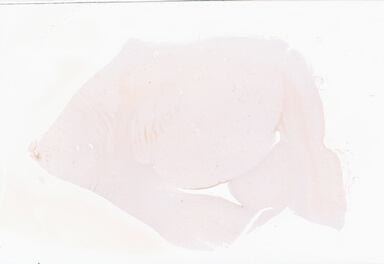 ['deident_f0d02777-0344-4be1-a213-b8758e5788c8_69d936be.jpg']
