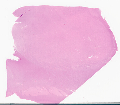 ['deident_0d4671bd-f696-4fb0-94e2-e8f5ff7cd14b_69d93e39.jpg']