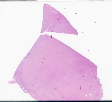 ['deident_ba4e1286-896a-4109-b511-113acad30d83_69d94b22.jpg']