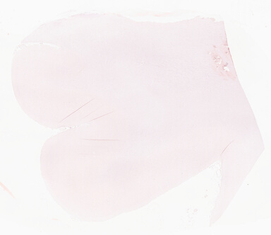 ['deident_d9fb4ed8-4c51-4e08-8bd9-e4c5576720e0_69d93f0f.jpg']