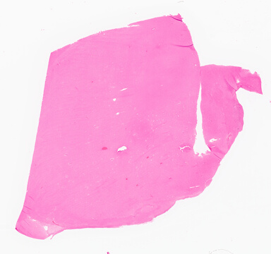 ['deident_f7c5fbe9-33ff-4f24-8ff8-38f20993e98a_69d96c3b.jpg']