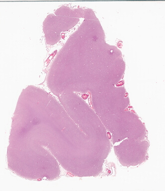 ['deident_d53fedc5-4356-4983-b316-3a3bf20ab9ee_69d93f8c.jpg']