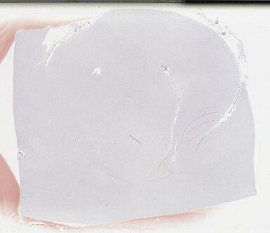 ['deident_a5a2537a-d4c0-4a5e-a546-da447fe0ee38_69b04f6e.jpg']