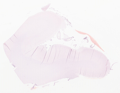 ['deident_e98db22d-d5fc-4d11-8a41-d94d963b6726_69d9591f.jpg']