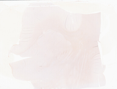 ['deident_cdd39b0a-7636-40fd-90a0-9c25cfdd4b28_69b057bf.jpg']