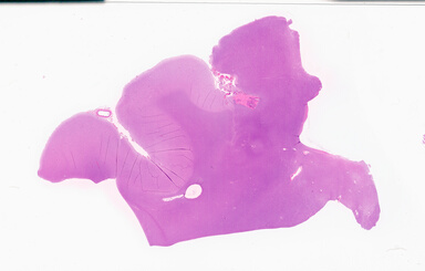 ['deident_f285d26f-eca1-45e9-a33b-10ba1a77160d_69b02d23.jpg']